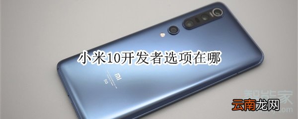 小米10开发者选项在哪