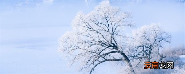 忽如一夜春风来千树万树梨花开是什么季节 忽如一夜春风来千树万树梨花开描写的什么季节
