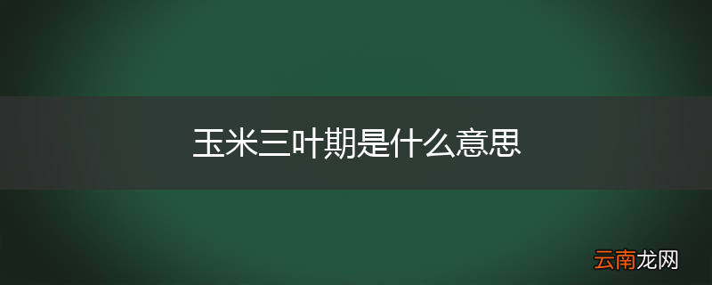 玉米三叶期是什么意思