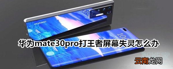 华为mate30pro打王者屏幕失灵怎么办
