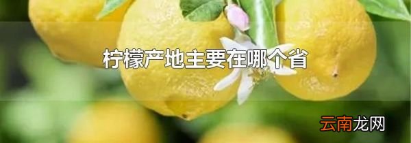 柠檬产地主要在哪个省