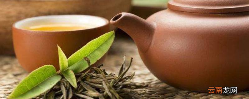 老茶是什么茶