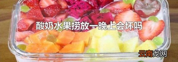 酸奶水果捞放一晚上会坏吗