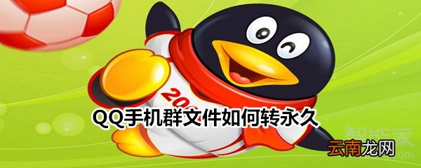 QQ手机群文件如何转永久
