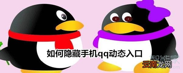 如何隐藏手机qq动态入口