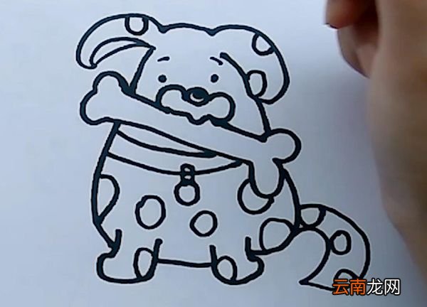 斑点狗简笔画