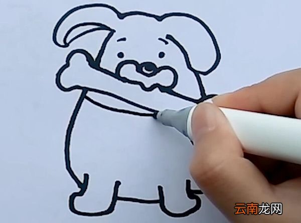 斑点狗简笔画
