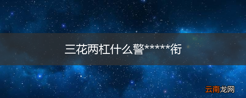 三花两杠什么警*****衔