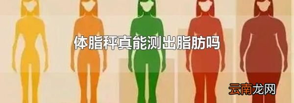 体脂秤真能测出脂肪吗