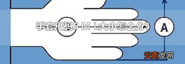 手套尺码S M L大小怎么分?