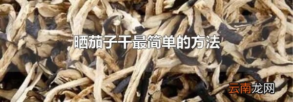 晒茄子干最简单的方法