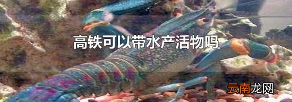 高铁可以带水产活物吗