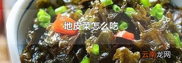 地皮菜怎么吃