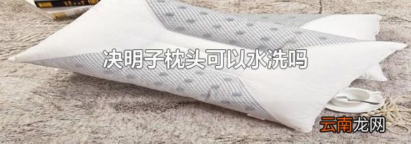 决明子枕头可以水洗吗