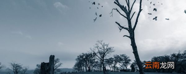 月落乌啼霜满天描写什么季节 《枫桥夜泊》原文