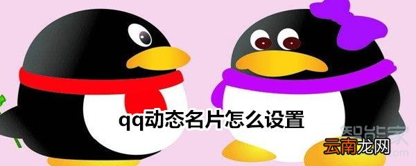 qq动态名片怎么设置