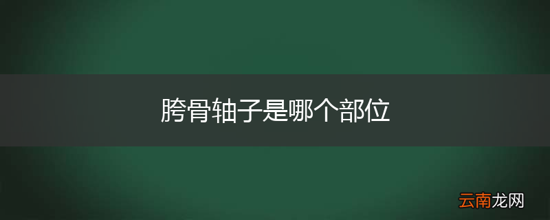 胯骨轴子是哪个部位