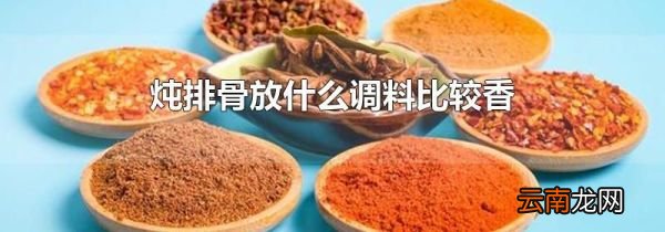 炖排骨放什么调料比较香
