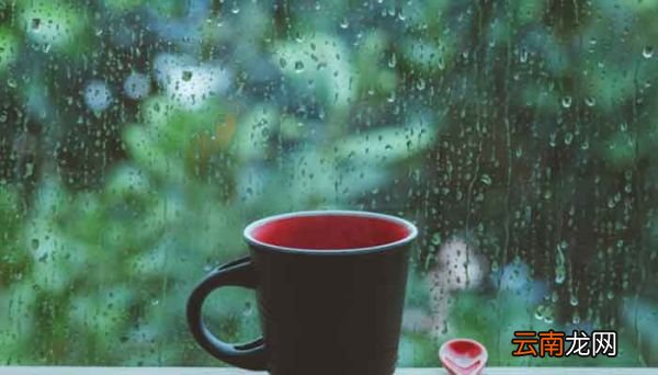 带雨的诗句 有哪些带雨的诗句