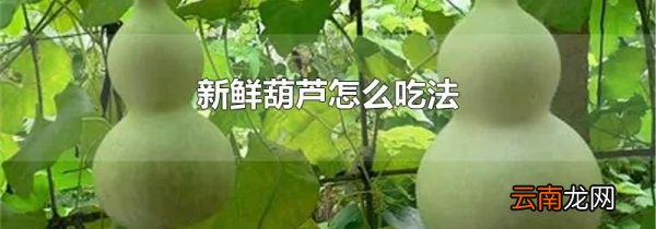 新鲜葫芦怎么吃法