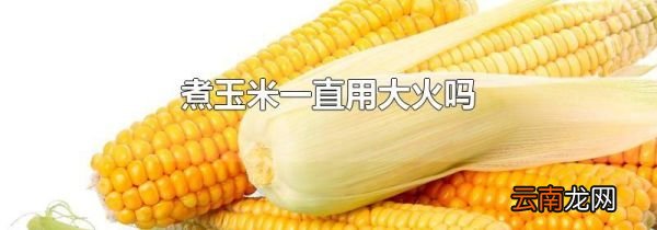 煮玉米一直用大火吗