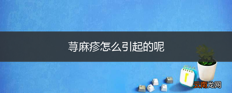 荨麻疹怎么引起的呢