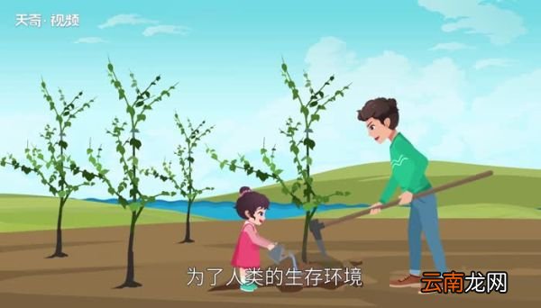 产生温室效应的气体 导致温室效应的气体是什么