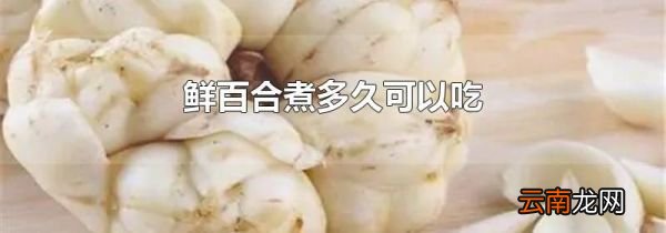 鲜百合煮多久可以吃