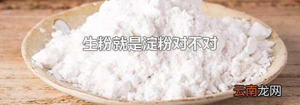 生粉就是淀粉对不对