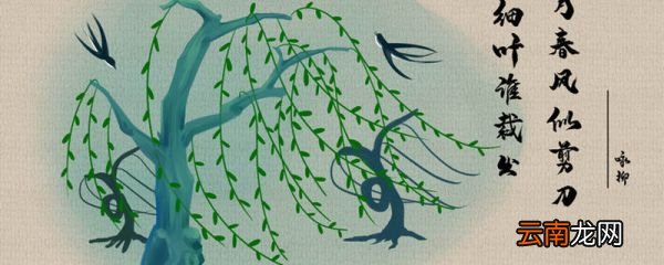 贺知章是诗狂还是诗魔 贺知章是诗狂吗