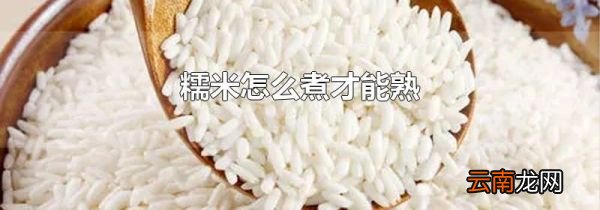 糯米怎么煮才能熟