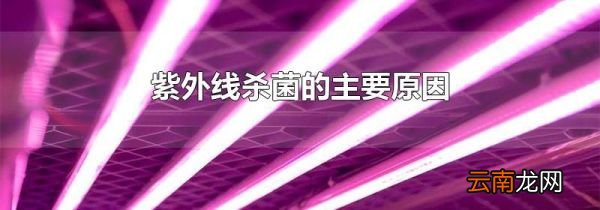 紫外线杀菌的主要原因