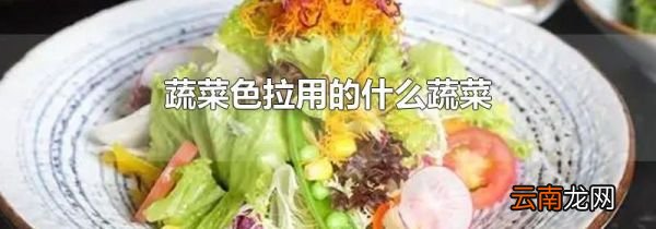 蔬菜色拉用的什么蔬菜