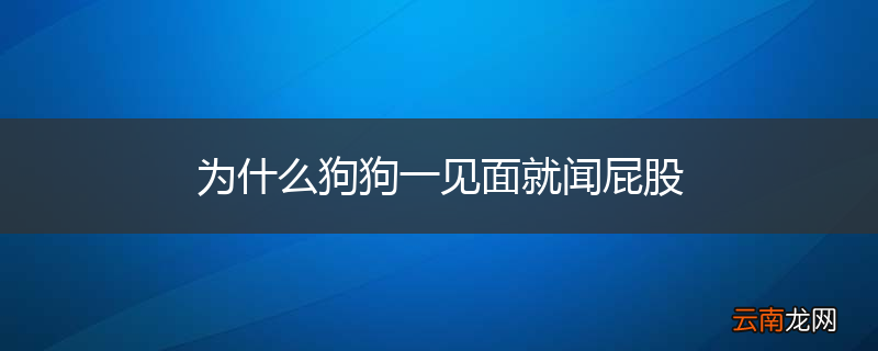 为什么狗狗一见面就闻屁股