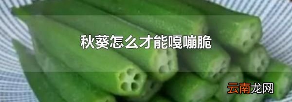秋葵怎么才能嘎嘣脆