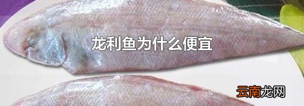 龙利鱼为什么便宜