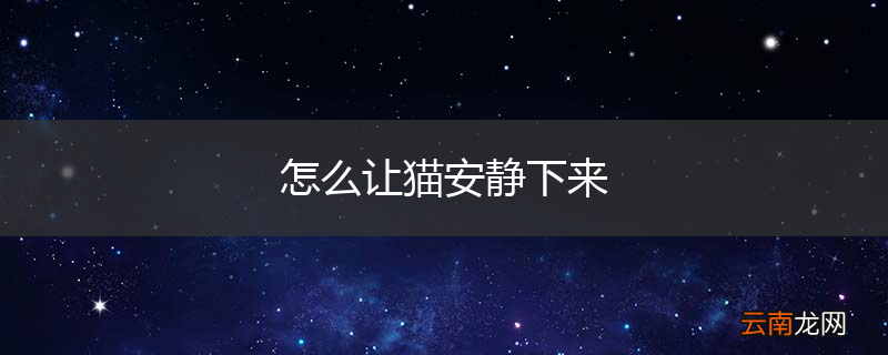 怎么让猫安静下来
