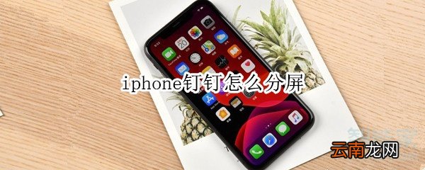 iphone钉钉怎么分屏
