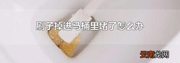 刷子掉进马桶里堵了怎么办