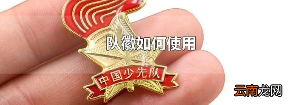 队徽如何使用
