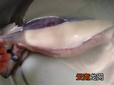 鱿鱼怎么剥皮