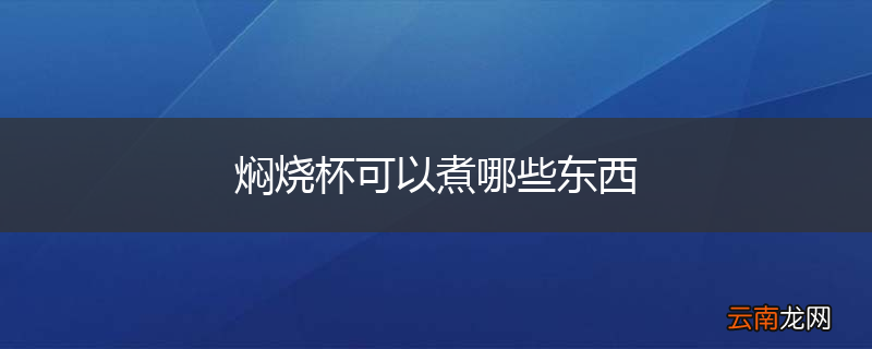 焖烧杯可以煮哪些东西