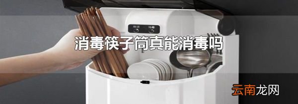 消毒筷子筒真能消毒吗