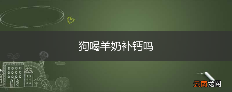 狗喝羊奶补钙吗