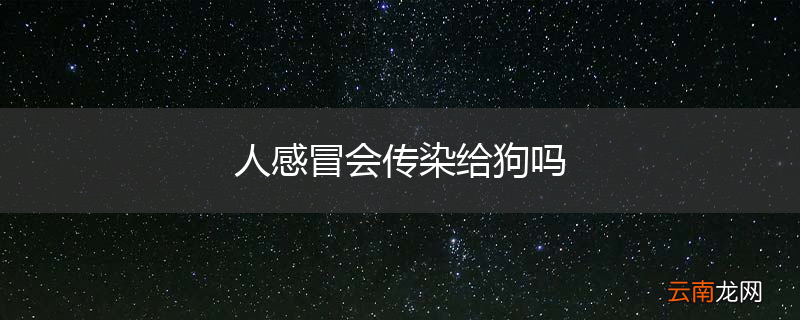 人感冒会传染给狗吗