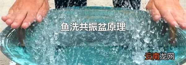 鱼洗共振盆原理