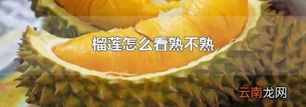 榴莲怎么看熟不熟