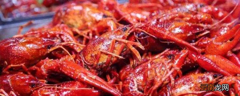 小龙虾可以隔夜吃吗