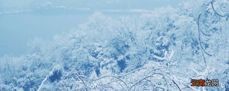 雪的密度