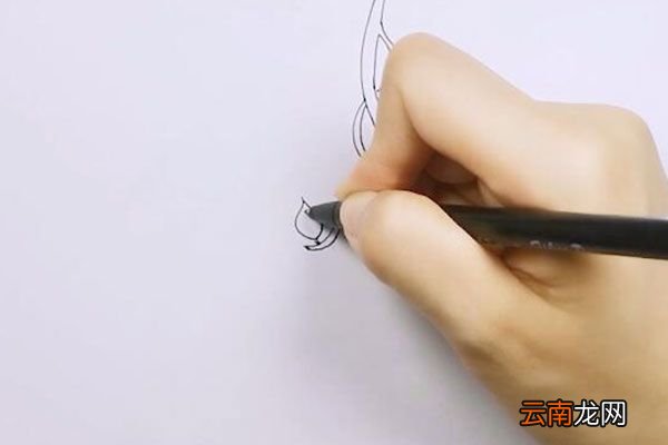 藤蔓简笔画